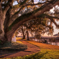Where to Find Online Versions of Fairhope, Alabama Magazines